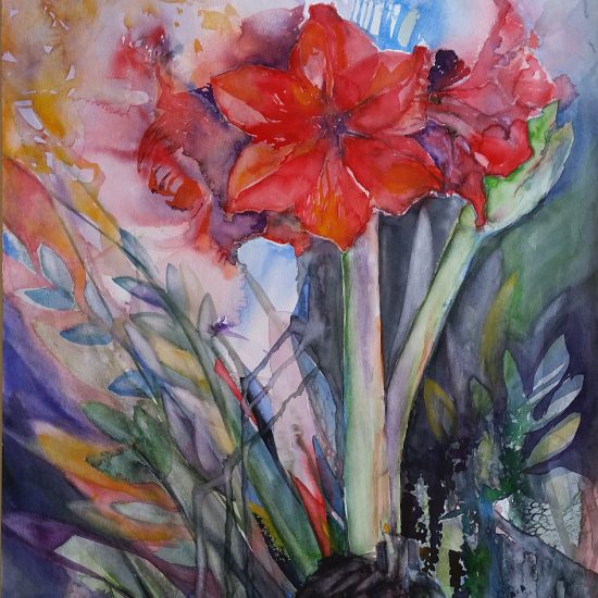 20160502_103435_Amaryllis_Aquarell_946x1200